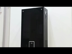 10L 2,6 GPM Chauffe-eau Panneau de revêtement noir GPL NG Type de gaz