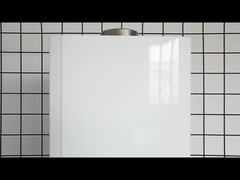 Chaudière à gaz de 20 kW 10L GPL NG Chauffe-eau à gaz instantané sans réservoir