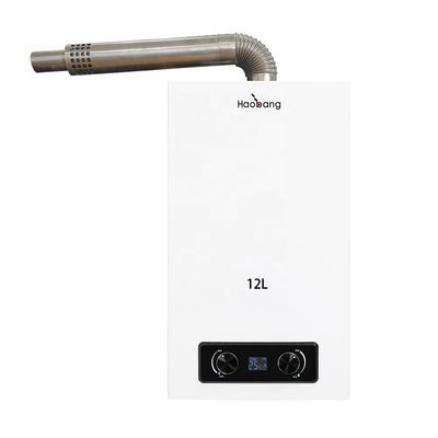 16L 18L 220V Wall Mounted Balanced Exhaust Gas Water Heater for Household and Commercial Use