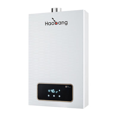 Contrôle intelligent Température constante 220V Homeland NG GPL Équilibreur d'eau à gaz de combustion