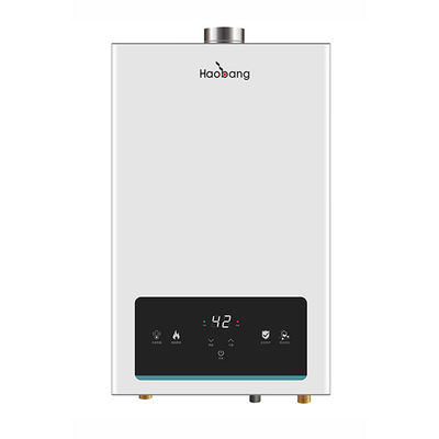 21KW 110V-220V chauffe-eau à gaz à température constante Blanc 10L