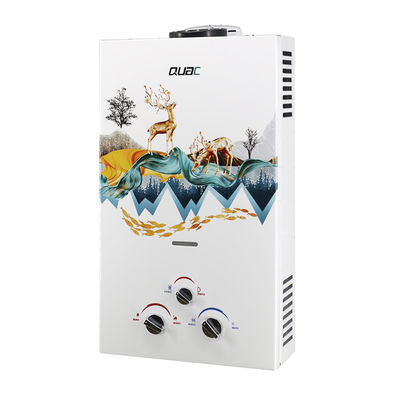 Chauffe-eau à gaz instantané de type 10L 20KW