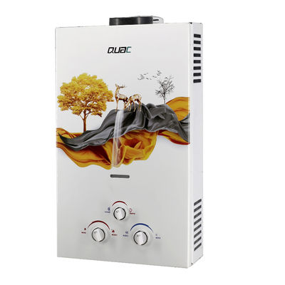 Résistance à la combustion à gaz d'échappement chauffe-eau de type blanc 10L 20KW