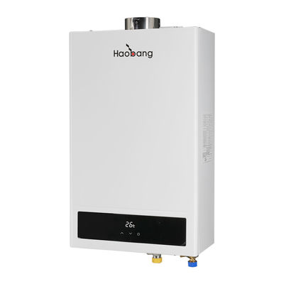 G1/2 Chauffe-eau à combustion équilibrée avec écran LCD et fonctionnalités d'économie d'énergie