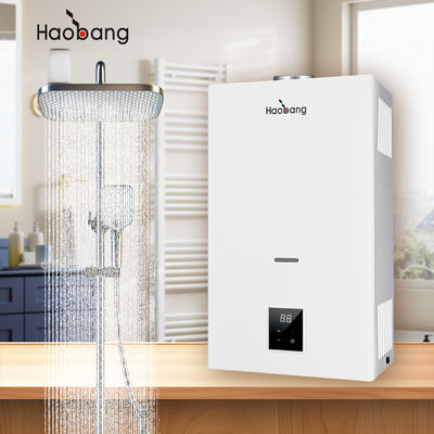 Chauffe-eau à gaz de combustion montée sur le mur avec gaz d'échappement et protection optionnelle