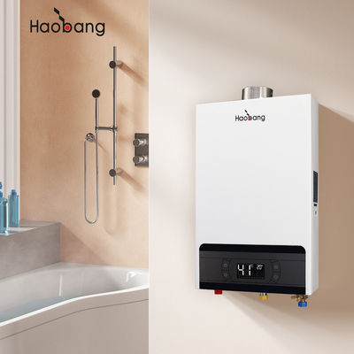 Chauffe-eau à gaz d'échappement forcé 220V avec logo imprimé sur écran de soie et haut rendement thermique ≥93%