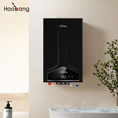 Chauffe-eau à combustion équilibrée d'entrée inférieure et d'entrée supérieure 110V-220V avec panneau avant à plaque froide et tension électrique