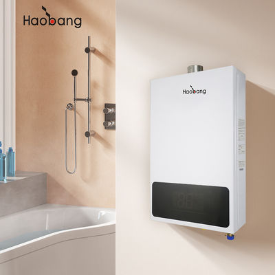 Économie d'énergie chauffe-eau à gaz de ventilation forcée pour une efficacité d'échappement forcé et des performances optimales